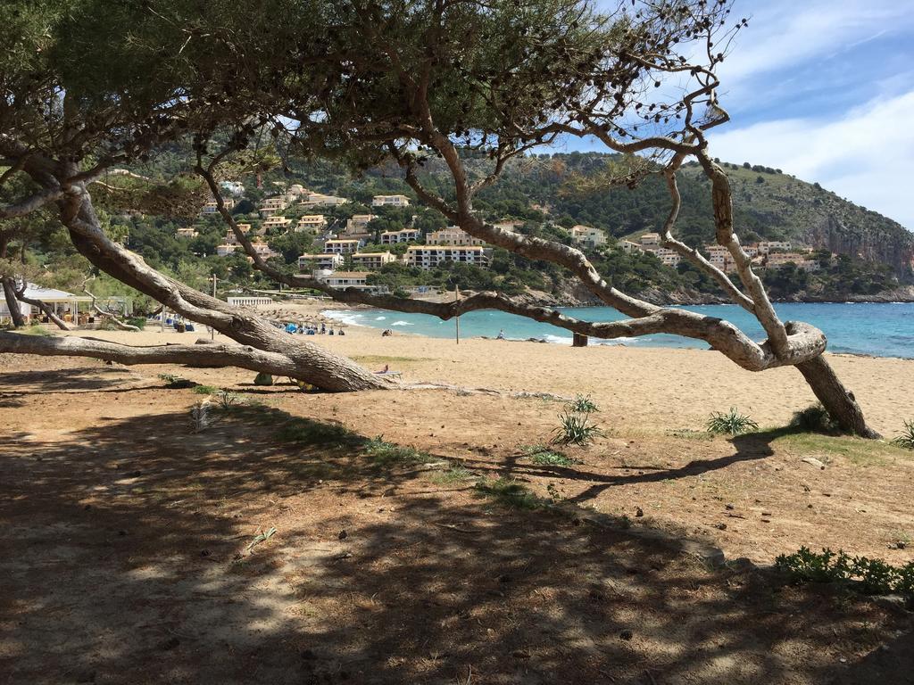 Canyamel Beach Rum bild